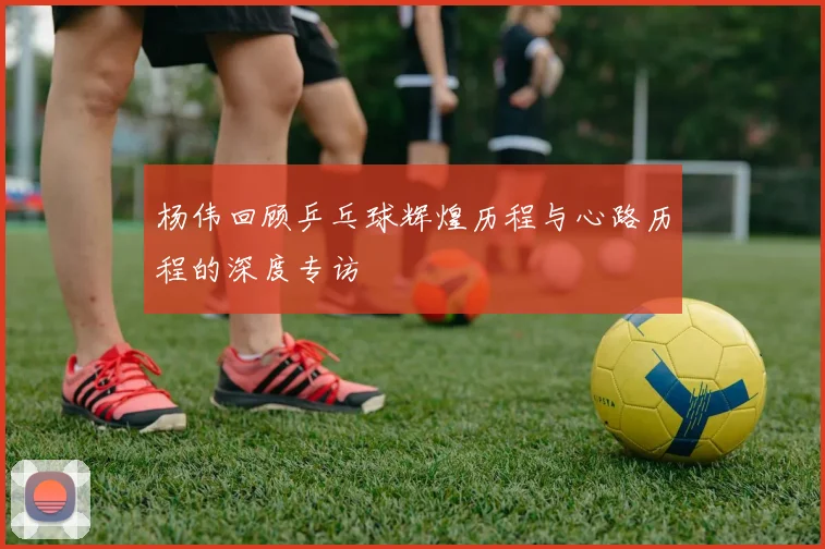 杨伟回顾乒乓球辉煌历程与心路历程的深度专访