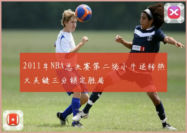 2011年NBA总决赛第二场小牛逆转热火关键三分锁定胜局