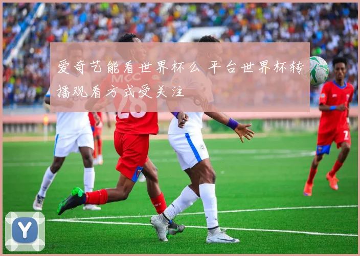 爱奇艺能看世界杯么 平台世界杯转播观看方式受关注